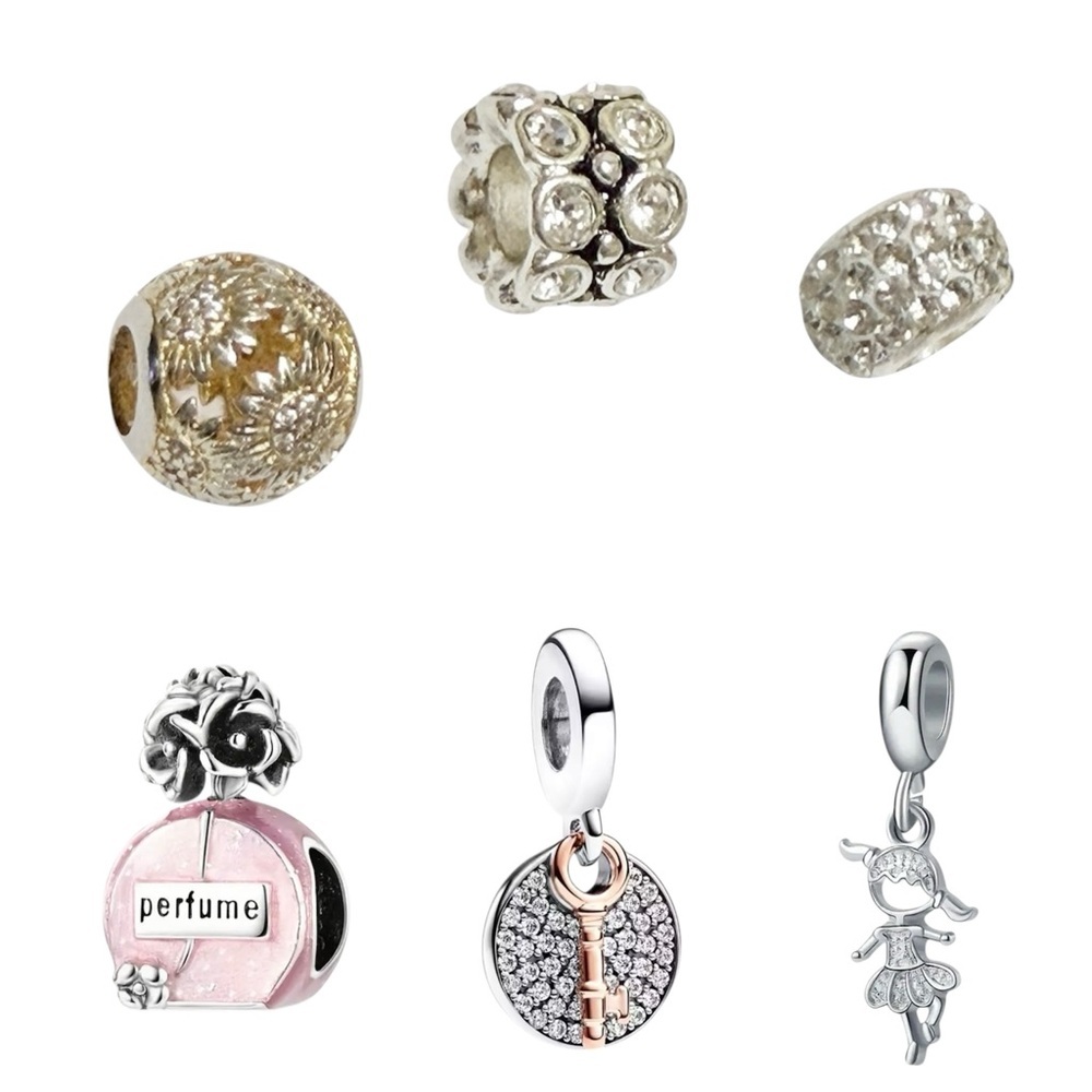 NWOT 6-Piece Charm Set +1
